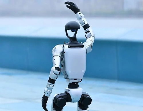 人形機器人產業迎來爆發期，宇樹科技啟動IPO引領行業新浪潮